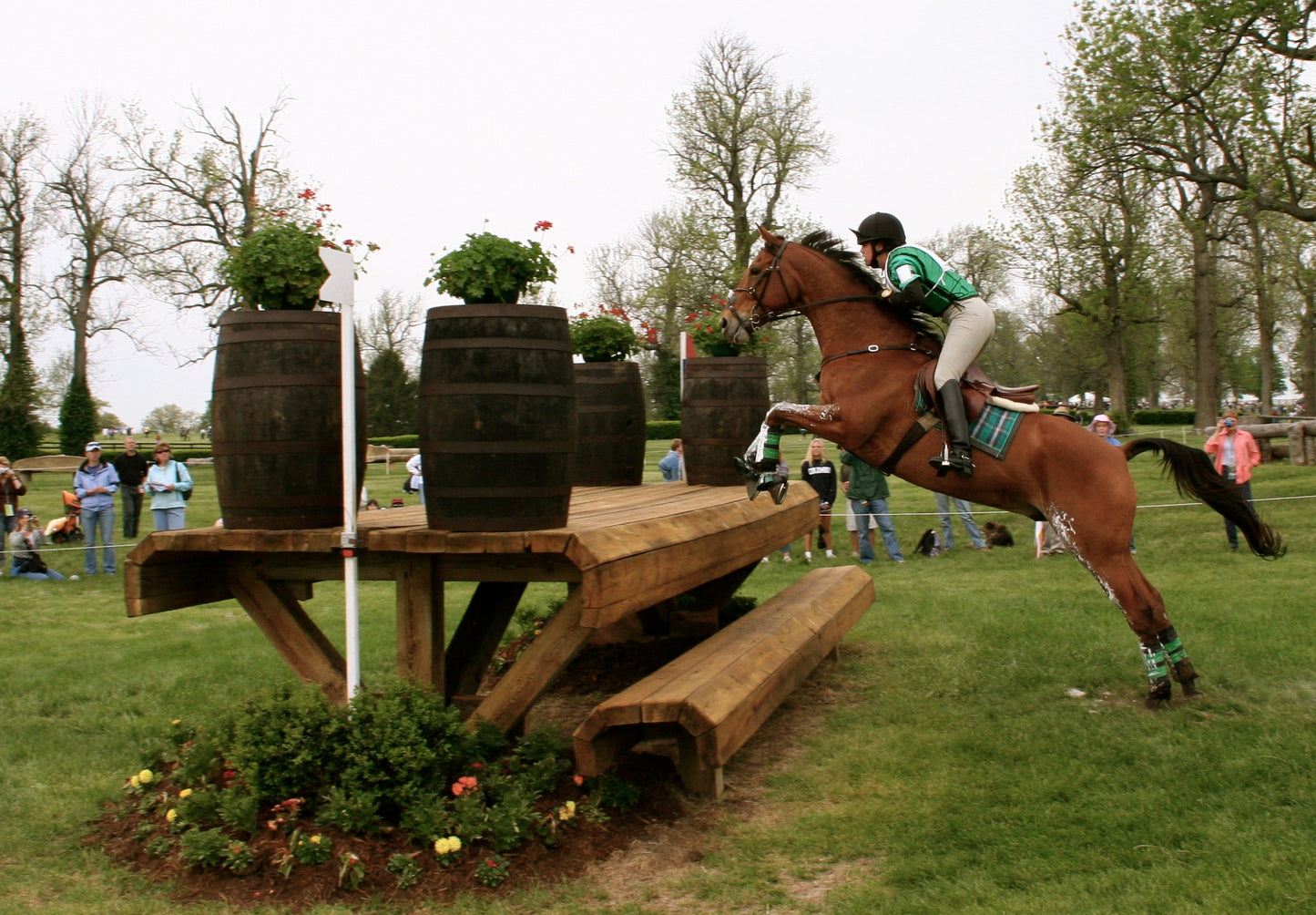 Thoroughbred Horse Jumping Glossy Poster Picture Photo Print Banner  Booma Prints