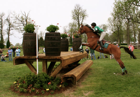 Thoroughbred Horse Jumping Glossy Poster Picture Photo Print Banner  Booma Prints