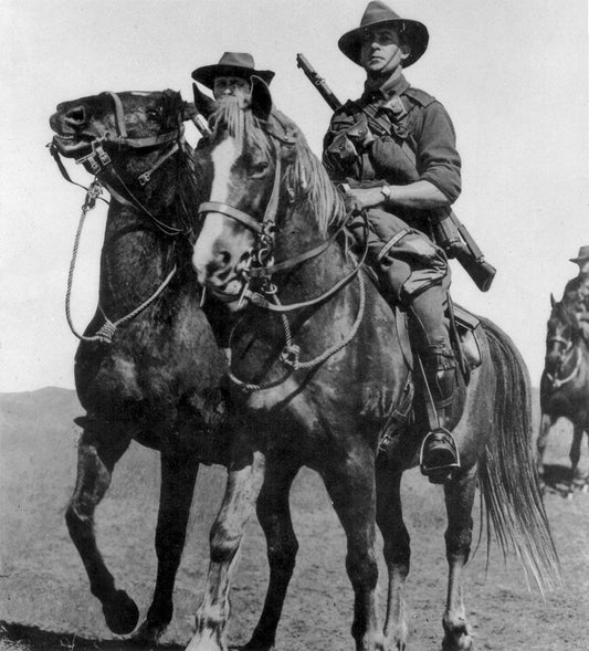 Waler Horse Breed Australia Glossy Poster Picture Photo Print Banner  Booma Prints