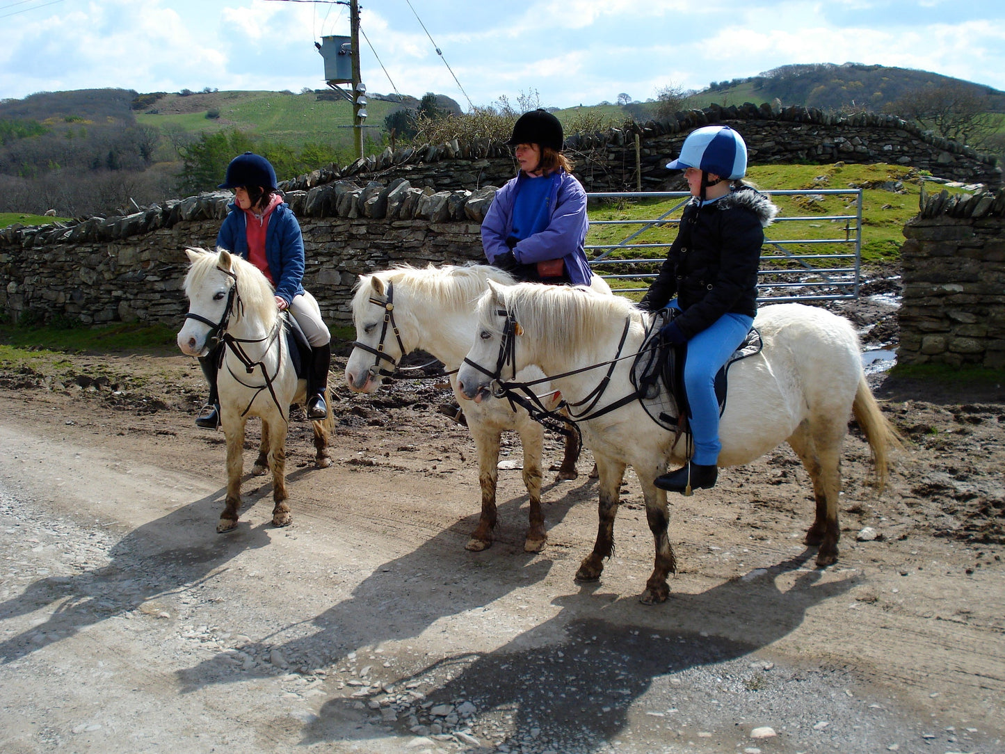 Welsh Pony & Cob Horse Rider Glossy Poster Picture Photo Print Banner  Booma Prints