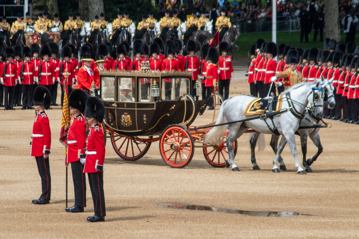 Windsor Grey Horse Queen Elizabeth Poster Picture Photo Print Banner  Booma Prints