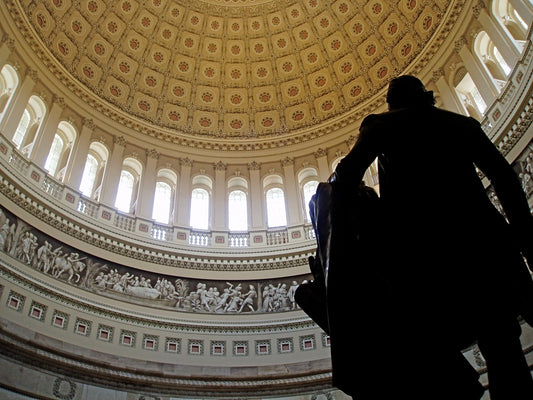 Capitol Rotunda Building Dome Interior Poster Picture Photo Print Banner  Booma Prints