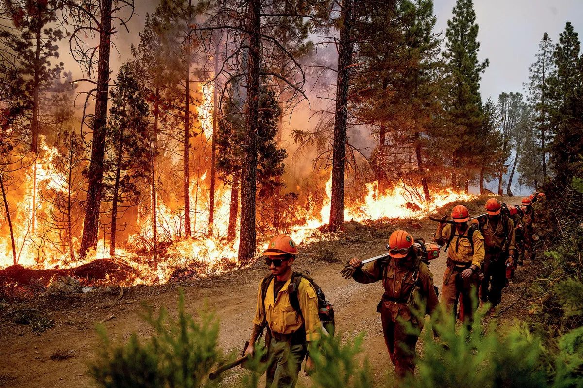 California Wildfires 2025 Firefighters Poster Picture Photo Print Banner  Booma Prints