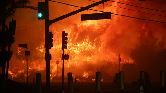 California Wildfires 2025 Traffic Lights Poster Picture Photo Print Banner  Booma Prints