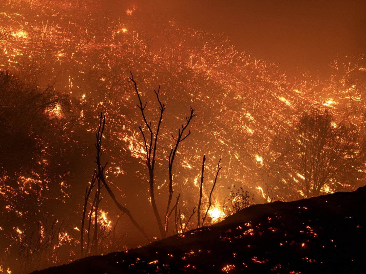 California Wildfires 2025 Flames Glossy Poster Picture Photo Print Banner  Booma Prints