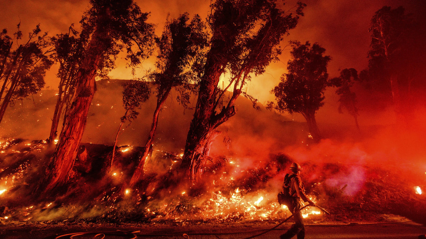 California Wildfires 2025 La Glossy Poster Picture Photo Print Banner  Booma Prints