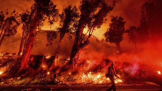California Wildfires 2025 La Glossy Poster Picture Photo Print Banner  Booma Prints