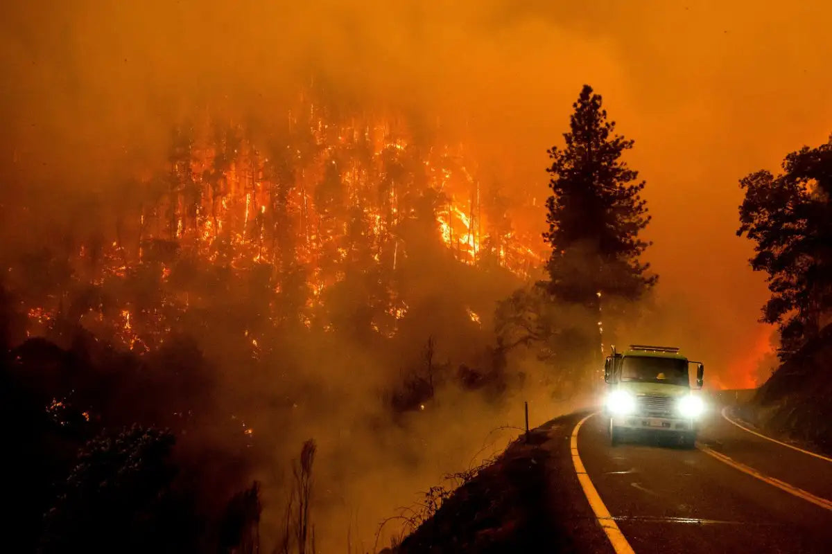 California Wildfires 2025 Firetruck Road Poster Picture Photo Print Banner  Booma Prints