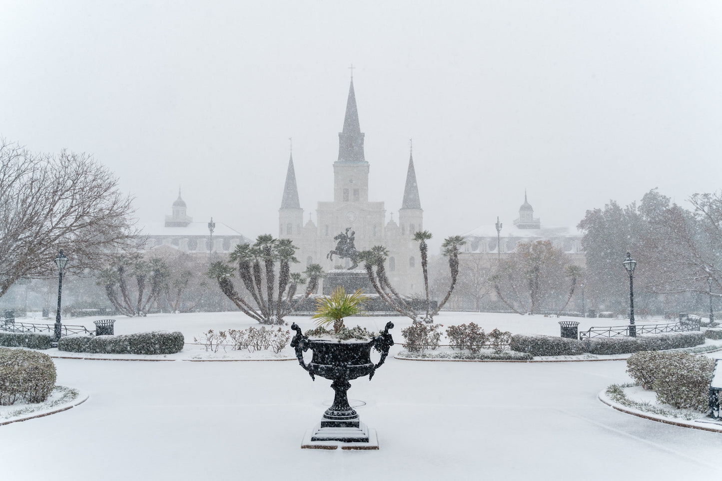 New Orleans Snow Cathedral 2025 Glossy Poster Picture Photo Print Banner  Booma Prints