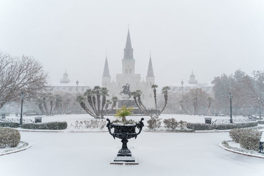 New Orleans Snow Cathedral 2025 Glossy Poster Picture Photo Print Banner  Booma Prints