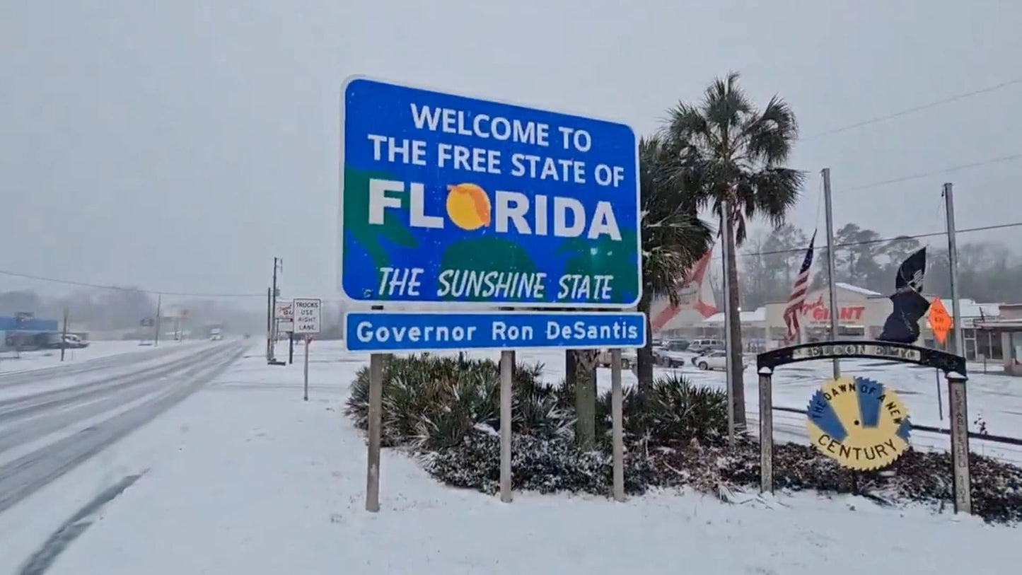 Florida Snow Storm 2025 Glossy Poster Picture Photo Print Banner  Booma Prints