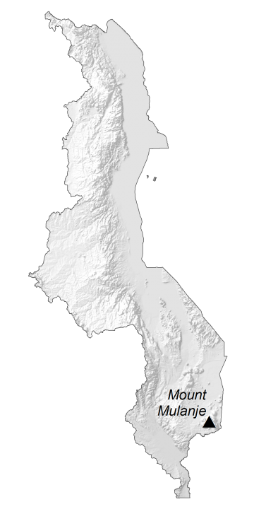 Malawi Elevation Map Glossy Poster Picture Photo Print Banner  Booma Prints
