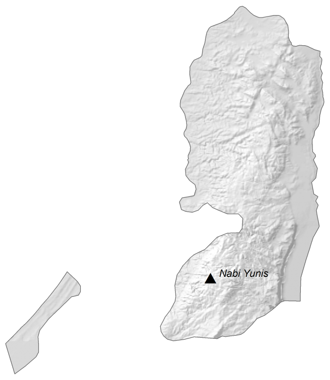 Palestine Elevation Map Glossy Poster Picture Photo Print Banner  Booma Prints