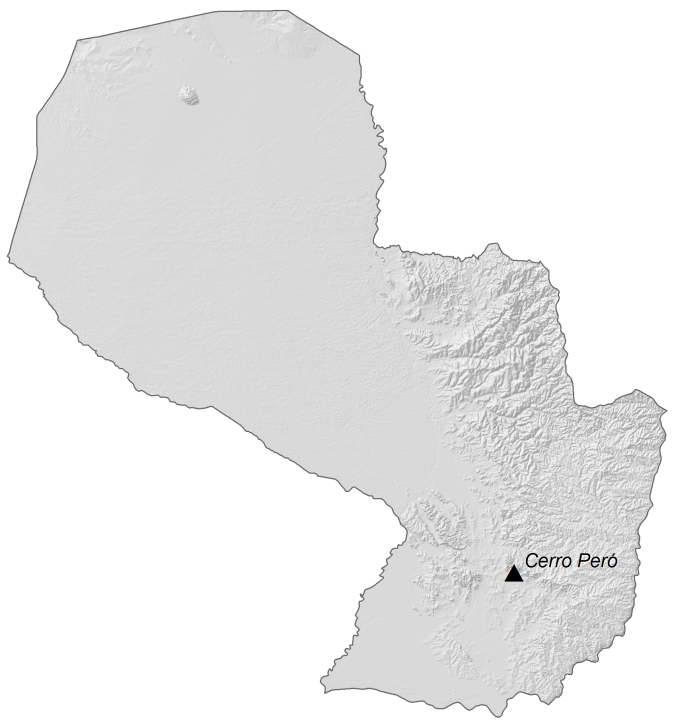 Paraguay Elevation Map Glossy Poster Picture Photo Print Banner  Booma Prints