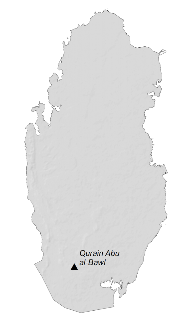 Qatar Elevation Map Glossy Poster Picture Photo Print Banner  Booma Prints