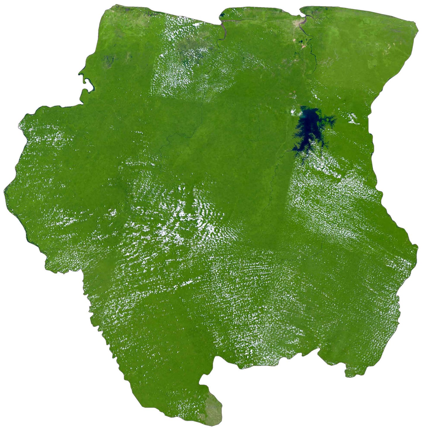 Suriname Satellite Map Glossy Poster Picture Photo Print Banner  Booma Prints