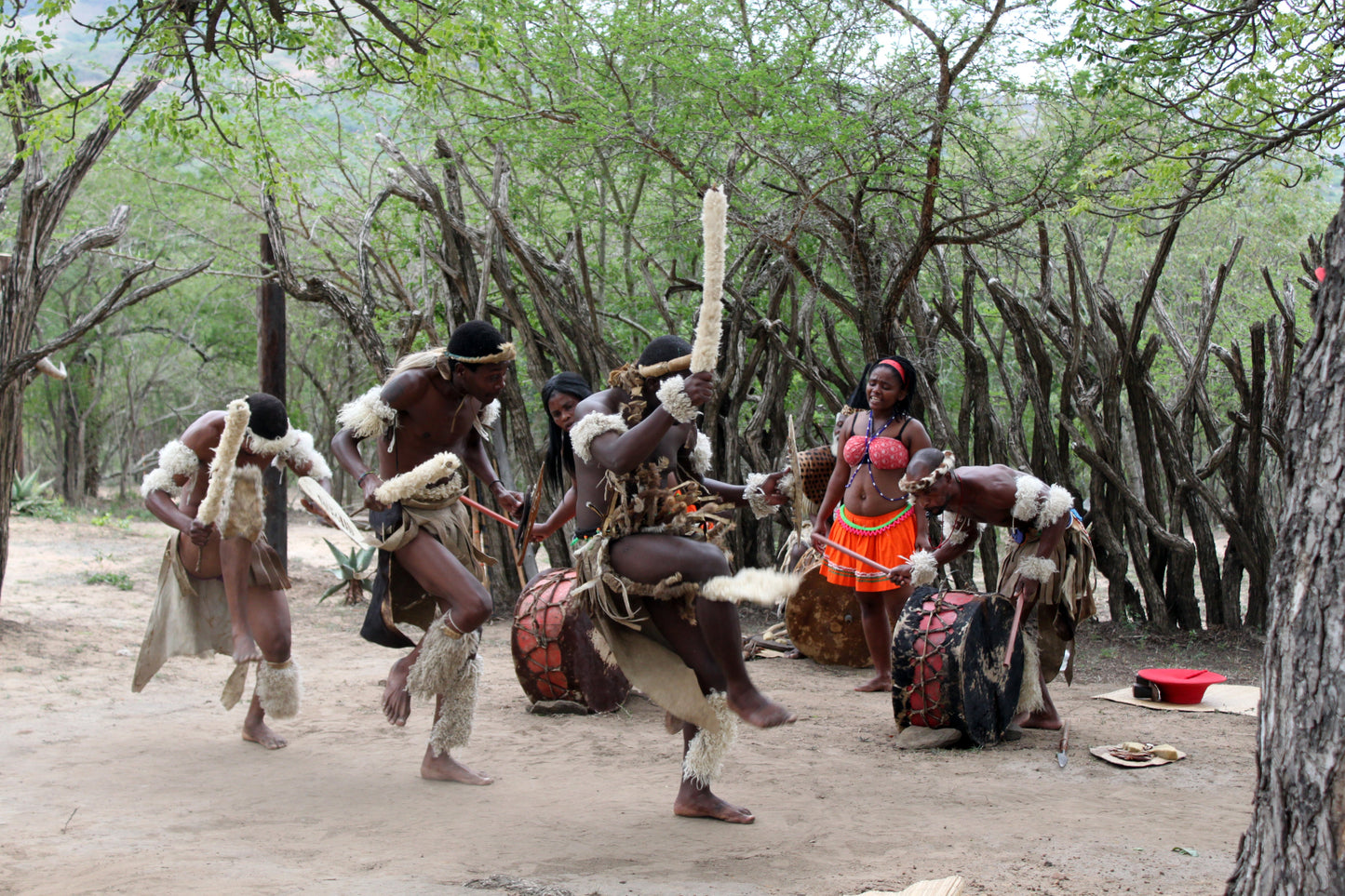Traditional Zulu Performance Africa Poster Picture Photo Print Banner  Booma Prints