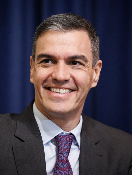 Pedro Sanchez Spain Prime Minister Poster Picture Photo Print Banner  Booma Prints