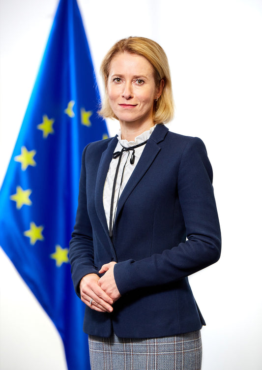 Kaja Kallas Eu High Rep Estonia Glossy Poster Picture Photo Print Banner  Booma Prints
