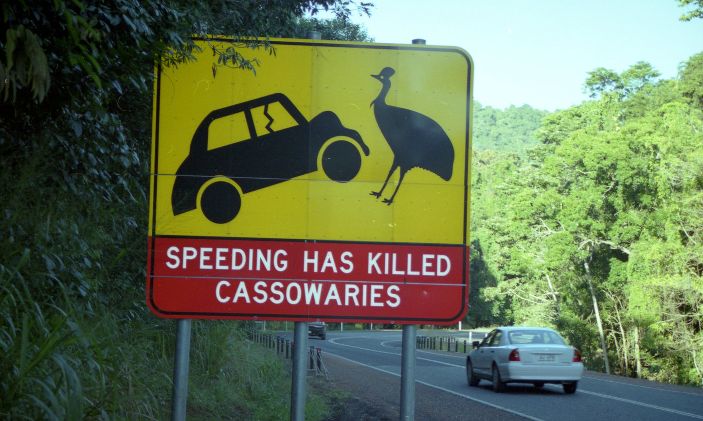 Cassowary Cassowarie Road Sign Glossy Poster Picture Photo Print Banner  Booma Prints