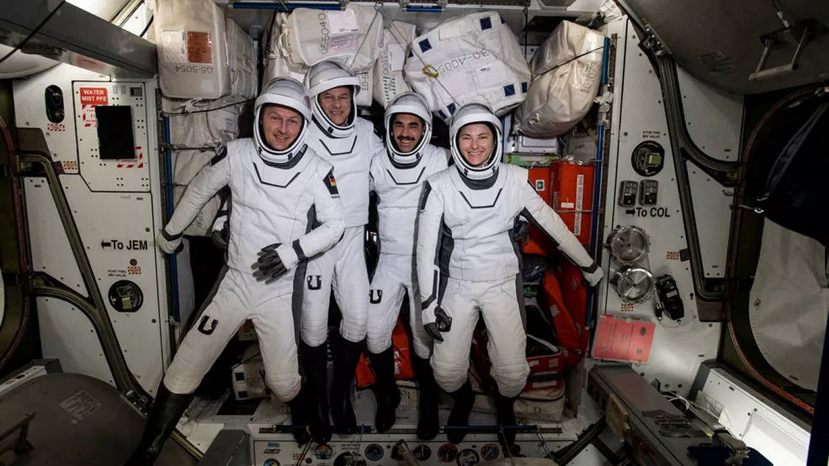 Dragon Endurance Crew Astronaut Glossy Poster Picture Photo Print Banner  Booma Prints