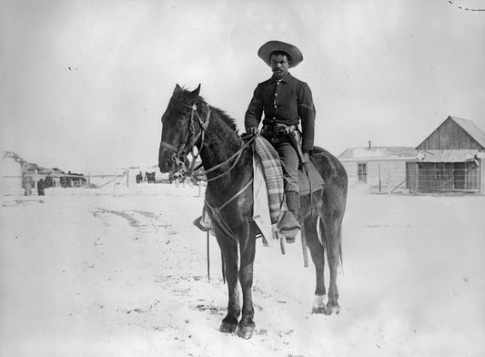 Buffalo Soldier 9Th Calvary Denver Poster Picture Photo Print Banner  Booma Prints