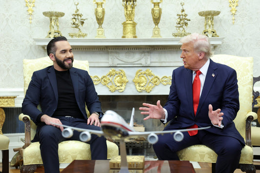 Nayib Bukele Donald Trump White House Poster Picture Photo Print Banner  Booma Prints