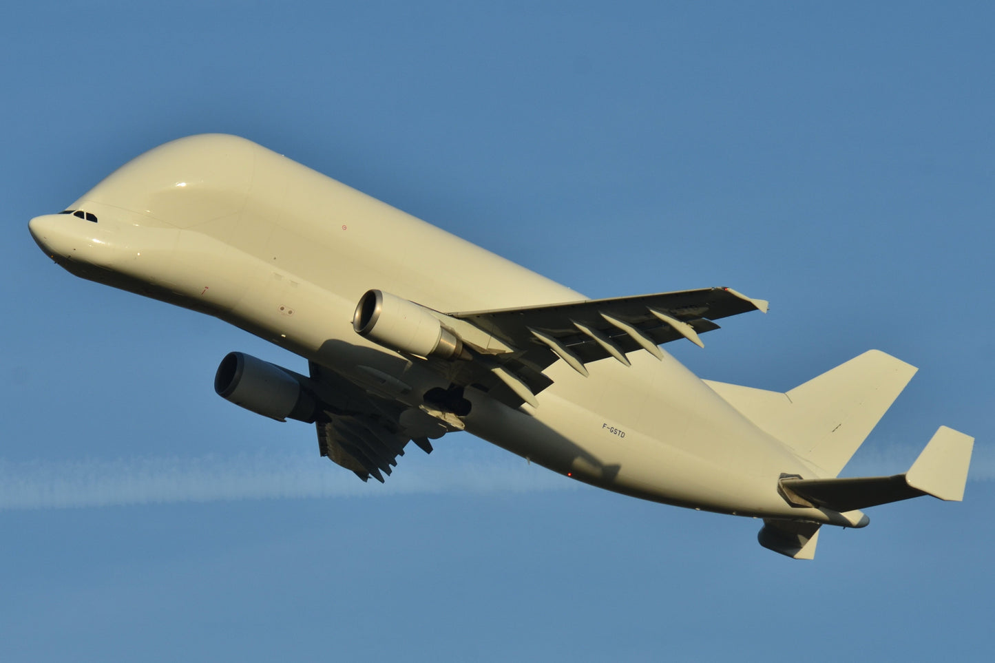 Airbus Beluga Flying Glossy Poster Picture Photo Print Banner  Booma Prints