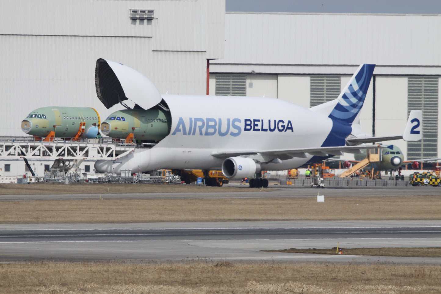 Airbus Beluga Plane Unloading Glossy Poster Picture Photo Print Banner  Booma Prints