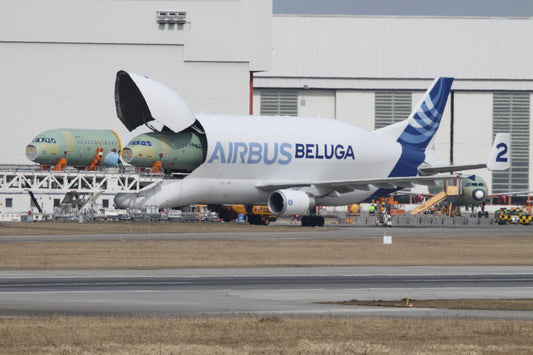 Airbus Beluga Plane Unloading Glossy Poster Picture Photo Print Banner  Booma Prints