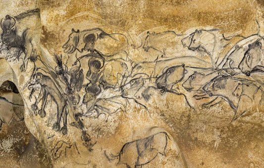 Chauvet Cave Lions France Glossy Poster Picture Photo Print Banner  Booma Prints