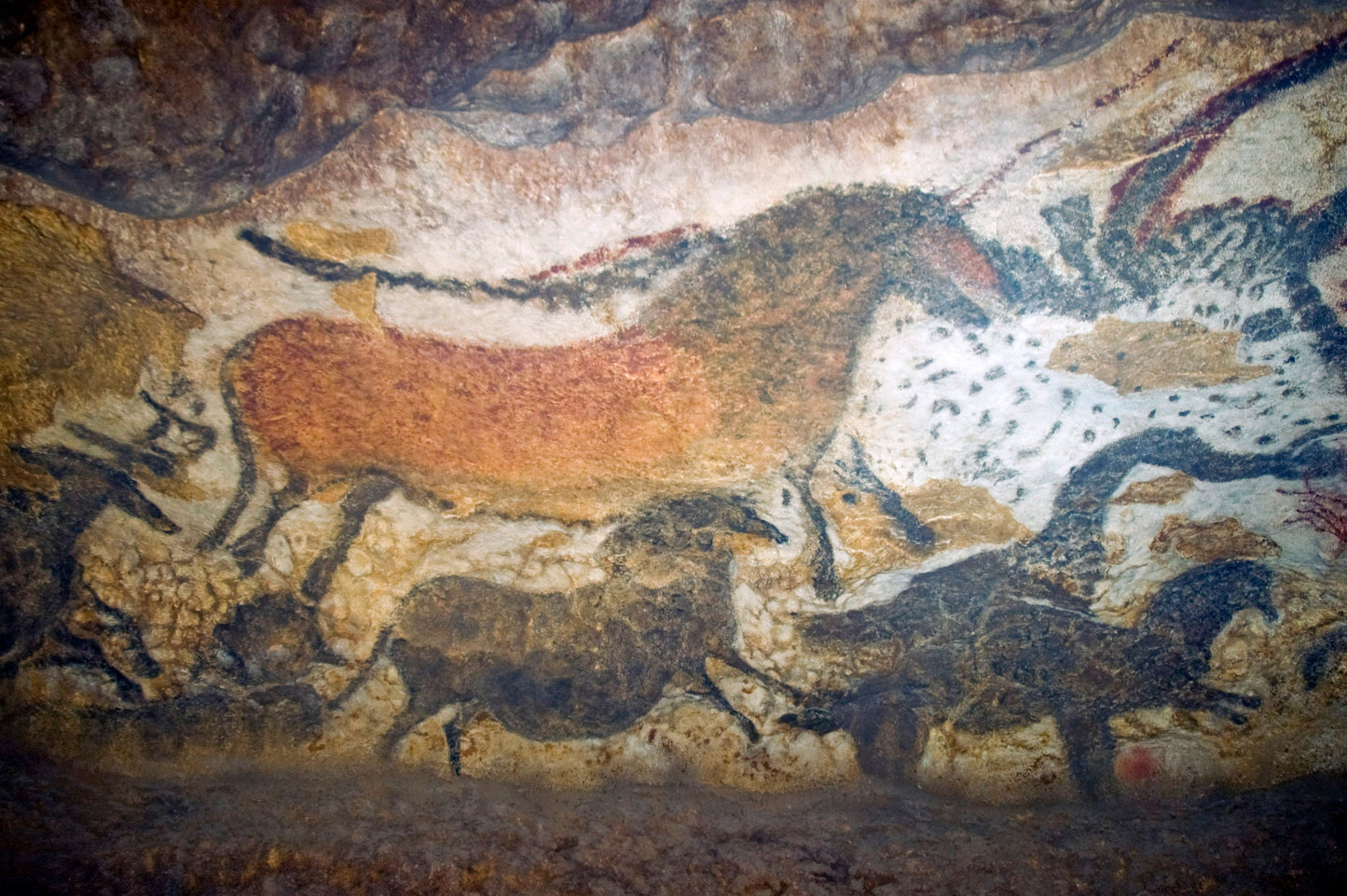 Lascaux Cave Prehistoric Cave Glossy Poster Picture Photo Print Banner  Booma Prints