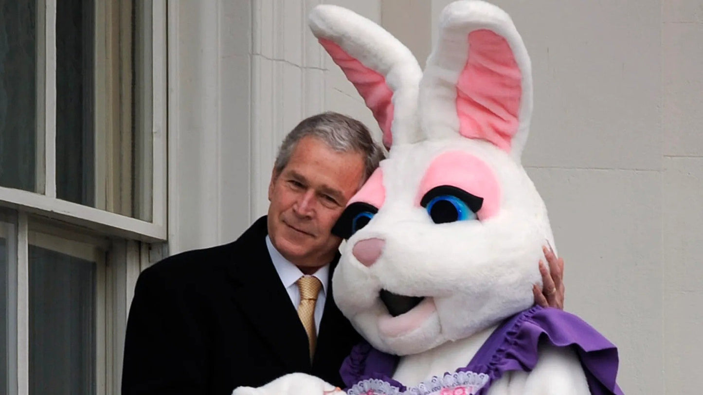 George Bush Easter Bunny Glossy Poster Picture Photo Print Banner  Booma Prints