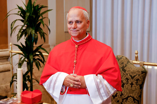 Cardinal Robert Francis Pope Leo Xiv Poster Picture Photo Print Banner  Booma Prints