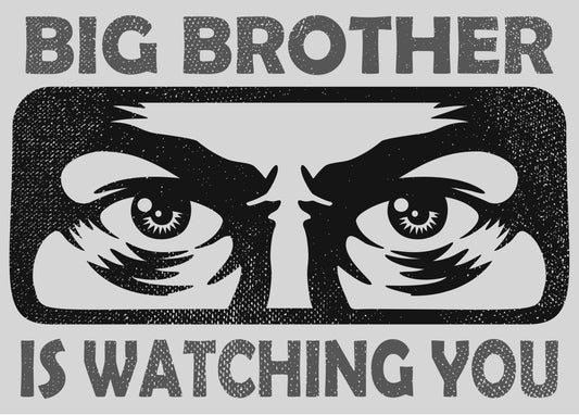 Big Brother Is Watching You Black/White Poster Picture Photo Print Banner  Booma Prints