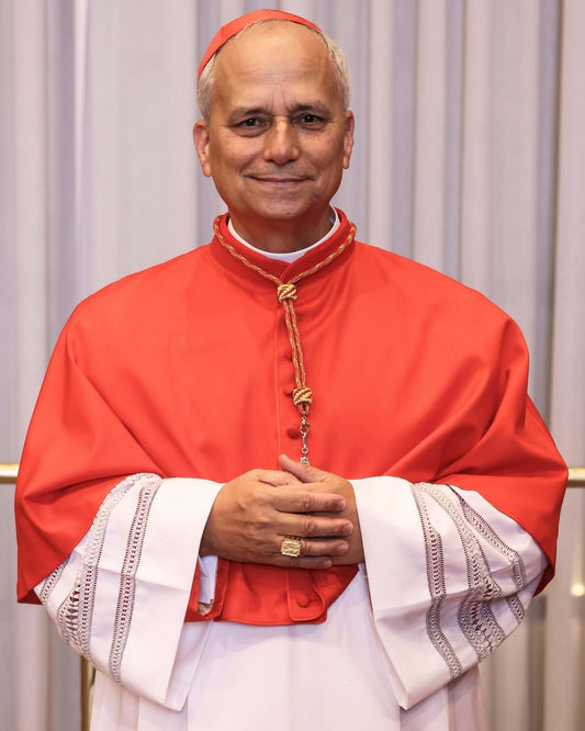 Pope Leo Xiv Cardinal Portrait Glossy Poster Picture Photo Print Banner  Booma Prints