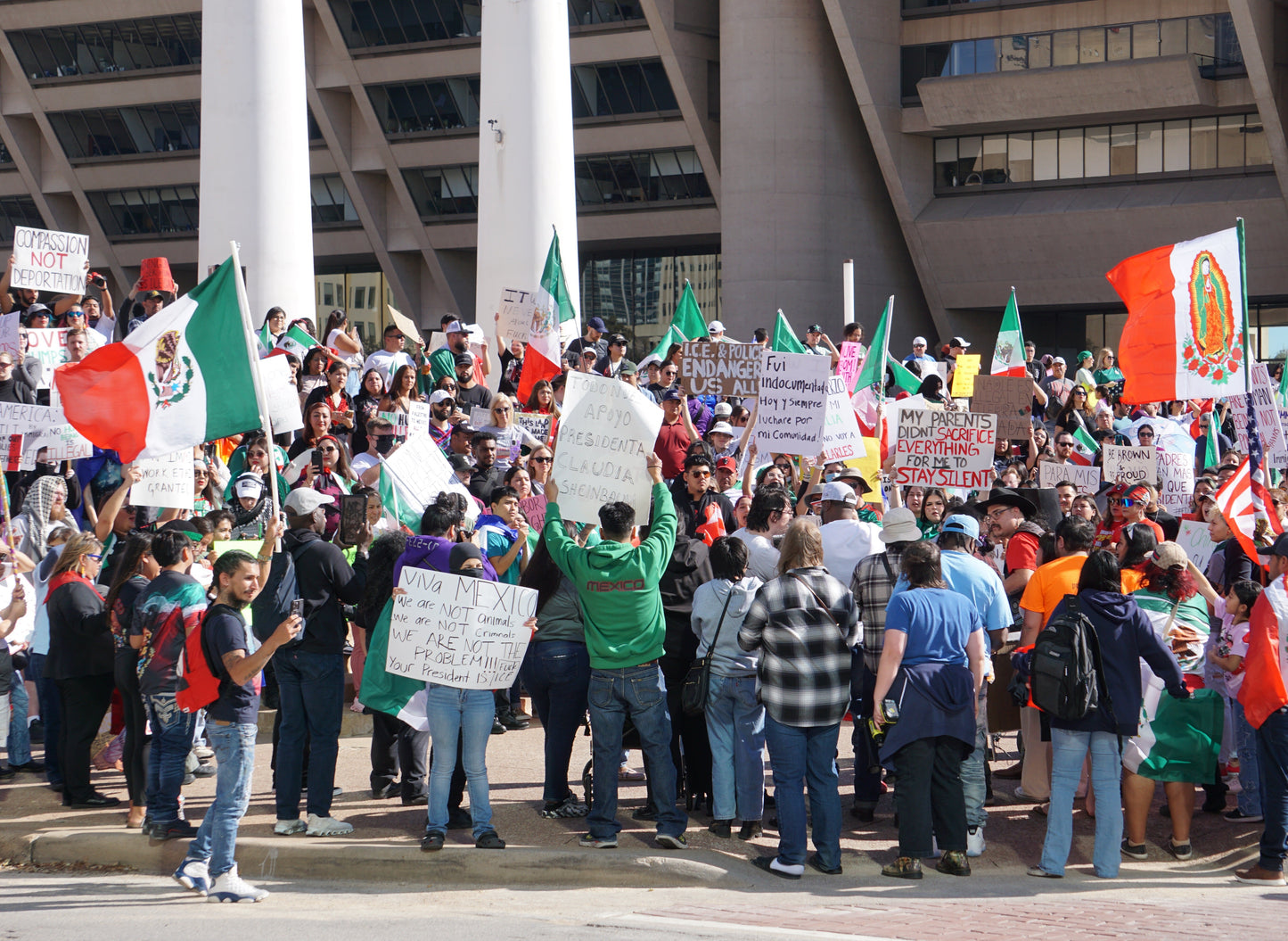 Dallas Ice Protests 2025 Glossy Poster Picture Photo Print Banner  Booma Prints