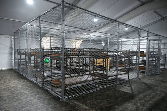 Alligator Alcatraz Bunk Beds Glossy Poster Picture Photo Print Banner  Booma Prints