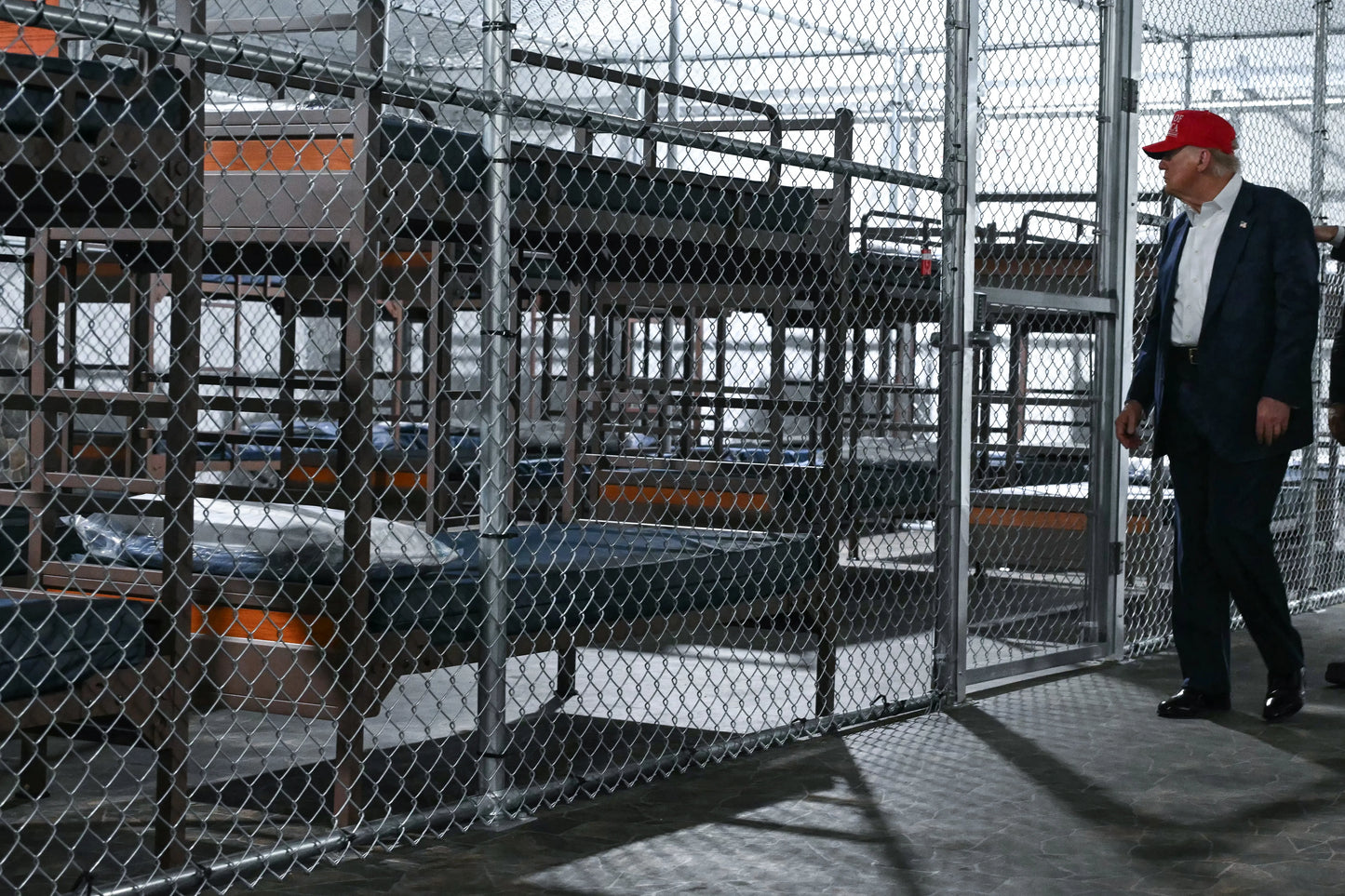 Alligator Alcatraz Trump Touring Glossy Poster Picture Photo Print Banner  Booma Prints