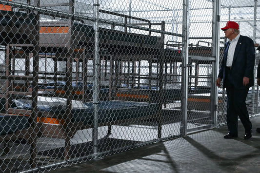 Alligator Alcatraz Trump Touring Glossy Poster Picture Photo Print Banner  Booma Prints