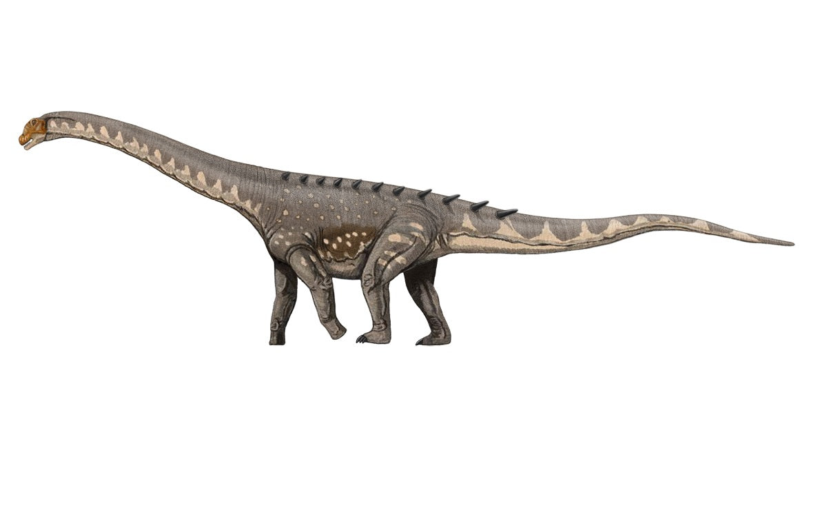 Titanosaurus Dinosaur Glossy Poster Picture Photo Print Banner  Booma Prints