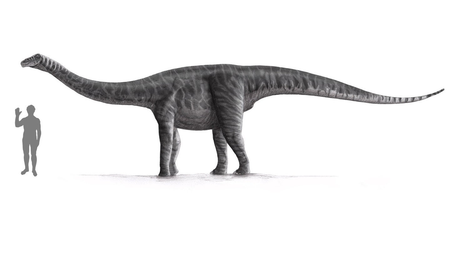 Extinct Titanosaurus Dinosaur Glossy Poster Picture Photo Print Banner  Booma Prints