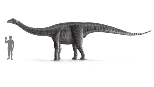 Extinct Titanosaurus Dinosaur Glossy Poster Picture Photo Print Banner  Booma Prints