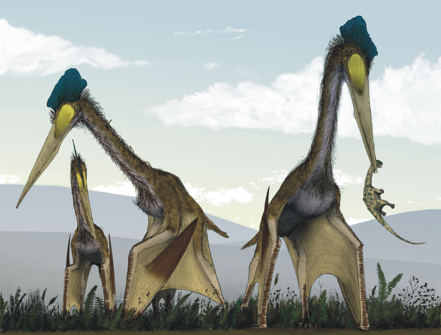 Quetzalcoatlus Pterosaur Glossy Poster Picture Photo Print Banner  Booma Prints