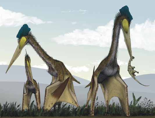 Quetzalcoatlus Pterosaur Glossy Poster Picture Photo Print Banner  Booma Prints