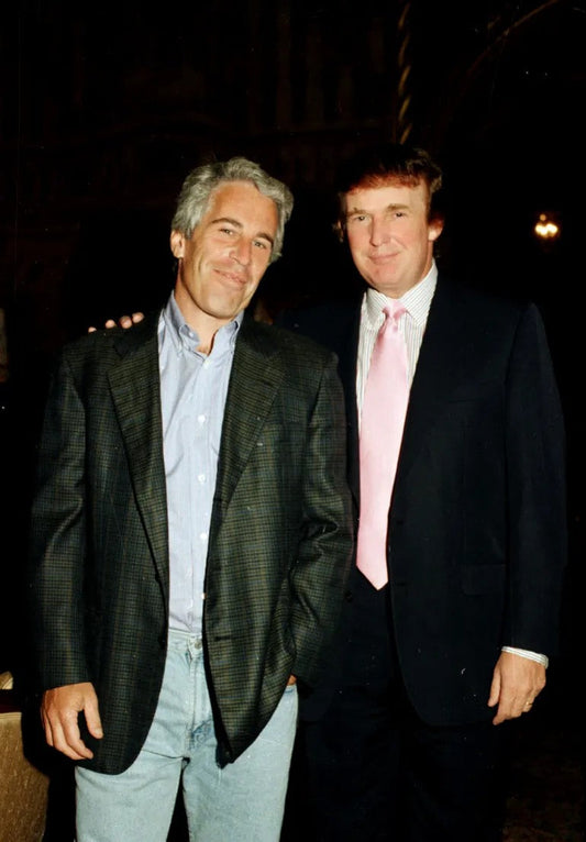 Donald Trump Jeffrey Epstein Glossy Poster Picture Photo Print Banner  Booma Prints