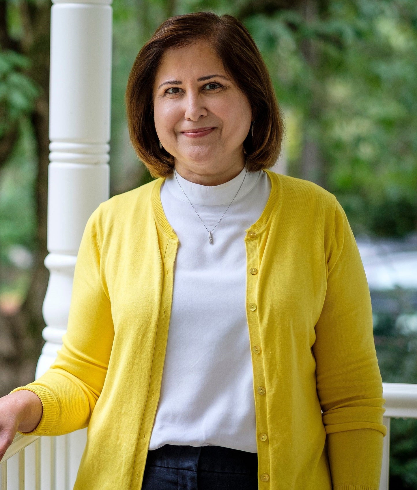 Ghazala Hashmi Virginia Senator Poster Picture Photo Print Banner  Booma Prints