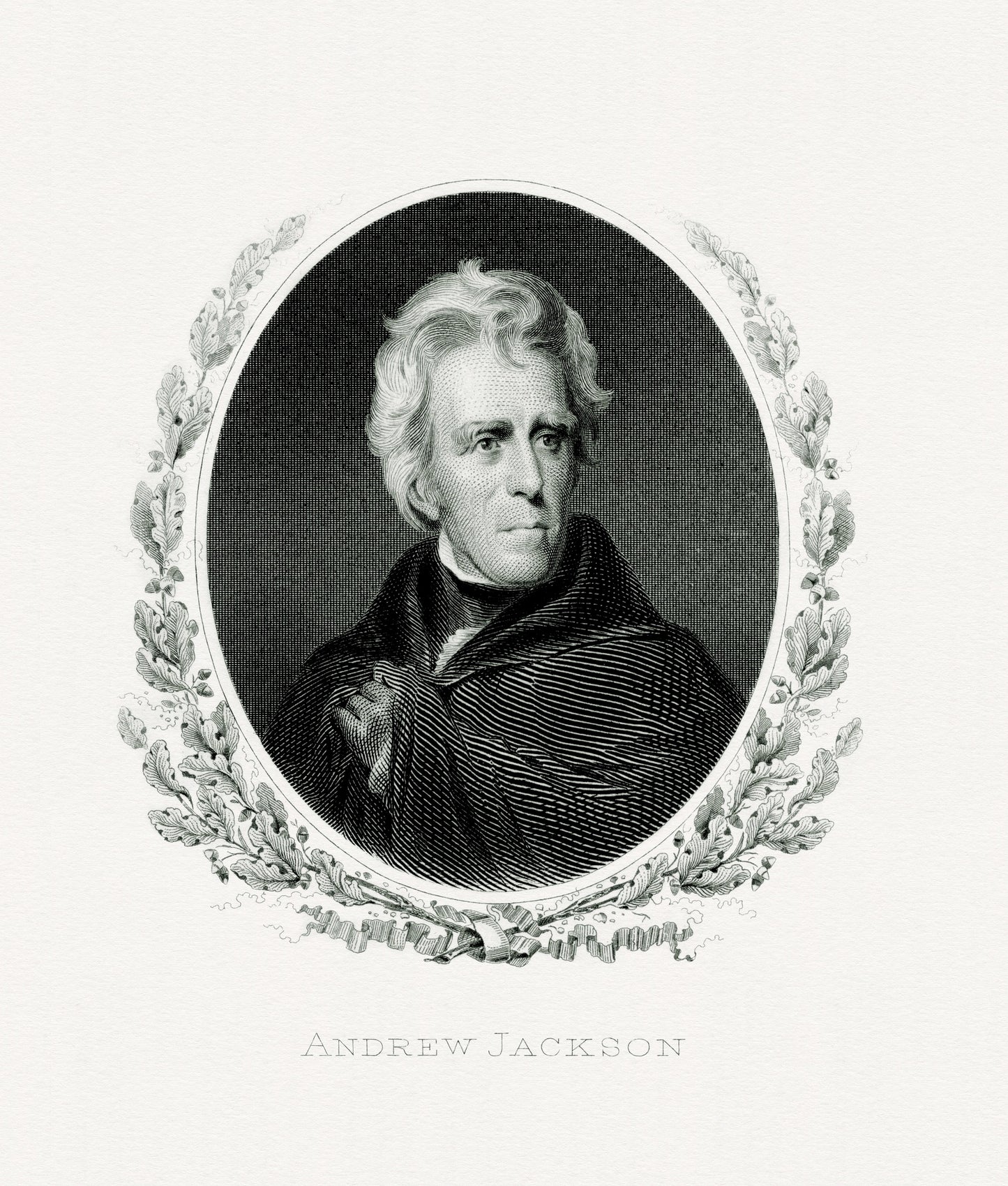Andrew Jackson Engraving President Glossy Poster Picture Photo Print Banner Booma Prints