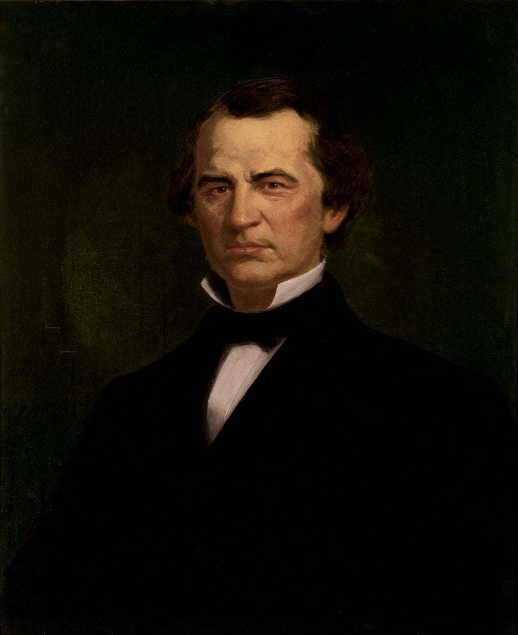 Andrew Johnson Painting President Glossy Poster Picture Photo Print Banner Booma Prints