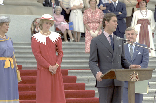 Prince King Charles Princess Diana Glossy Poster Picture Photo Print Banner Booma Prints